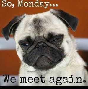 Meet your Posher, Shawn